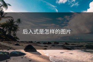 后入式是怎样的图片