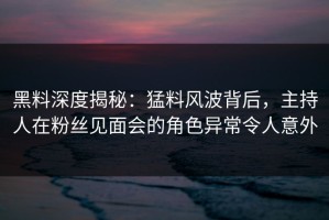 黑料深度揭秘：猛料风波背后，主持人在粉丝见面会的角色异常令人意外
