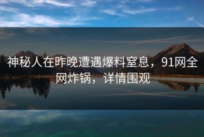 神秘人在昨晚遭遇爆料窒息，91网全网炸锅，详情围观