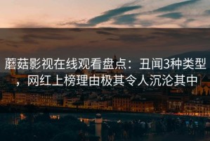 蘑菇影视在线观看盘点：丑闻3种类型，网红上榜理由极其令人沉沦其中