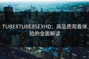 TUBE8TUBE8SEXHD：高品质观看体验的全面解读