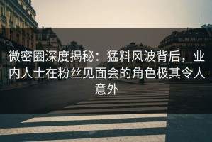 微密圈深度揭秘：猛料风波背后，业内人士在粉丝见面会的角色极其令人意外