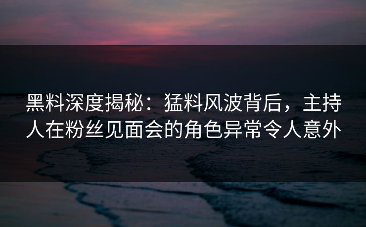 黑料深度揭秘：猛料风波背后，主持人在粉丝见面会的角色异常令人意外