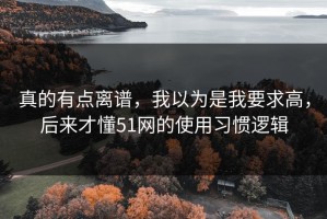 真的有点离谱，我以为是我要求高，后来才懂51网的使用习惯逻辑