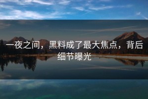 一夜之间，黑料成了最大焦点，背后细节曝光