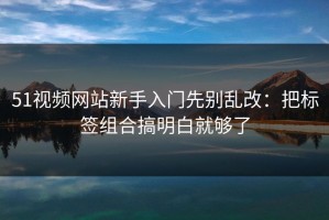 51视频网站新手入门先别乱改：把标签组合搞明白就够了