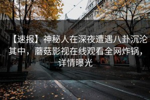 【速报】神秘人在深夜遭遇八卦沉沦其中，蘑菇影视在线观看全网炸锅，详情曝光
