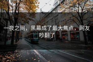 一夜之间，黑幕成了最大焦点，网友吵翻了