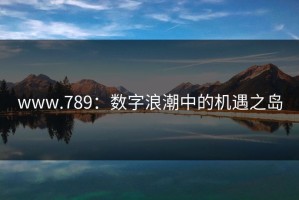 www.789：数字浪潮中的机遇之岛