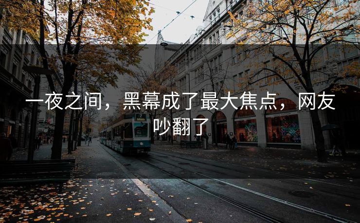 一夜之间，黑幕成了最大焦点，网友吵翻了